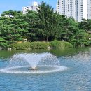 분당중앙공원 이미지