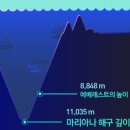 해구 이미지