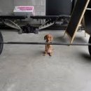 바벨과 사람 헬스클럽 이미지