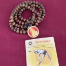 (주)국제스쿨(서울) | [시바난다요가 공식제휴센터 에이프로요가스쿨] 시바난다요가 TTC in 달랏 후기 1