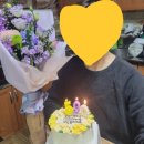 오월드 동물병원 | 2023년 하반기 기억 남기기 (7월 ~ 12월)