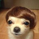 헐