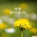 "업보에 속지 말고 질병에서 고침 받자!"... 김형민 목사 (빛의 자녀 교회) 이미지