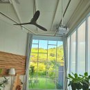 두 번째 벚꽃 이미지