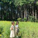 편한여행사 - 여수시 종고산길 56 | 편한여행사