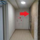 강남-142 이미지