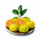 유라농장 이미지