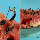 음식나라 이미지