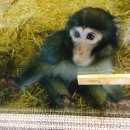 도서관(구립) 삼산도서관(3) 이미지