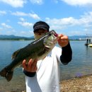 상중도뱃터 이미지