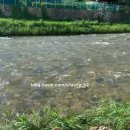 북한산 숯불닭갈비&돼지갈비 | 북한산에 가면 꼭 가봐야할 북한산 숯불닭갈비 돼지갈비 🐔🐷🫧✨