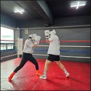 칠금11길 | 충주복싱 체육관 다니면서 느낀 스파링 재미 솔직 후기