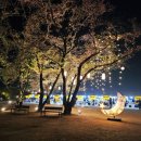 수채화(야간) | 익산 왕궁리유적 야간축제 방문기｜다양한 무료 체험 후기｜은은한 백제의 밤 산책｜