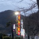 매화정 이미지