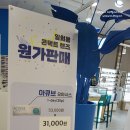 블루페퍼 안경 소사점 이미지