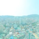 신도팰리스 네이버블로그