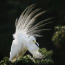 열매이야기 이미지