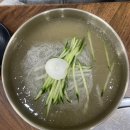 원주 냉면맛집추천 금산함흥냉면 / 수제왕만두 찐도후기