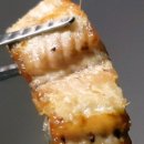 영광풍천장어 이미지