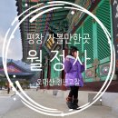 평창 월정사 팔각구층석탑 | 평창 가볼만한곳 오대산 월정사 팔각구층석탑 주차 및 요금