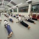 경희대 으뜸 태권도장 이미지