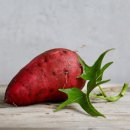 간식시간 이미지