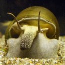 옥돌정쌈밥 이미지