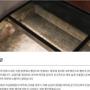 1️⃣[리산애 아트투어]9월 22일 ( 화)세종 수목원+ 앙리마티스 정원+헤레디움 시오타 치하루 기억의 빛 이미지