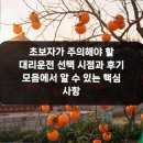 대한대리운전 | 초보자가 주의해야 할 대리운전 선택 시점과 후기 모음에서 알 수 있는 핵심 사항