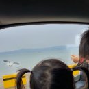 주포농장 이미지