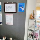 네일블라썸 이미지