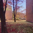 아이코리아부속새세대유치원 이미지