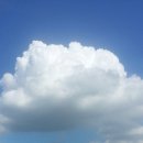 하얀마음 이미지