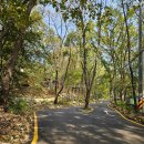 주정차16 | 수락휴 수락산 자연휴양림 트리하우스 16호 별이 빛나는 밤 숙박 후기