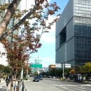 용산청소년수련관(이촌1동주민센터) 이미지