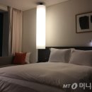 스테이모네 이미지