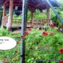 별이네농장 이미지