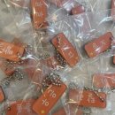 모모댕댕 이미지