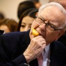 다우상사 이미지