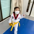 금호태권도장 이미지