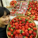 청동농장 이미지