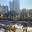 단지내일등공인중개사사무소 이미지