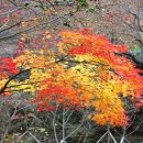 장춘여관 이미지