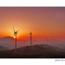 서광목장 이미지