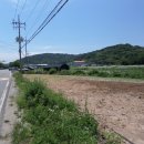 판문동-1 이미지