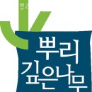 뿌리깊은나무교육 이미지