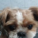 교육청사거리 이미지