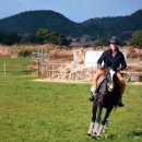 선아목장 이미지