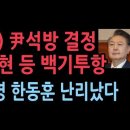 윤대통령 석방 결정...박세현 등 백기투항, 이재명 한동훈 난리났다 ﻿성창경TV 이미지