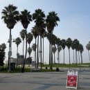 땡큐에브리원 | [LA여행]나홀로 LA 2박 3일_세임선 베니스비치 숙소 후기